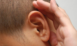 گوش داخلی و افت شنوایی
