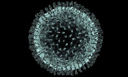 ویروس کرونای جدید (کووید ۱۹)