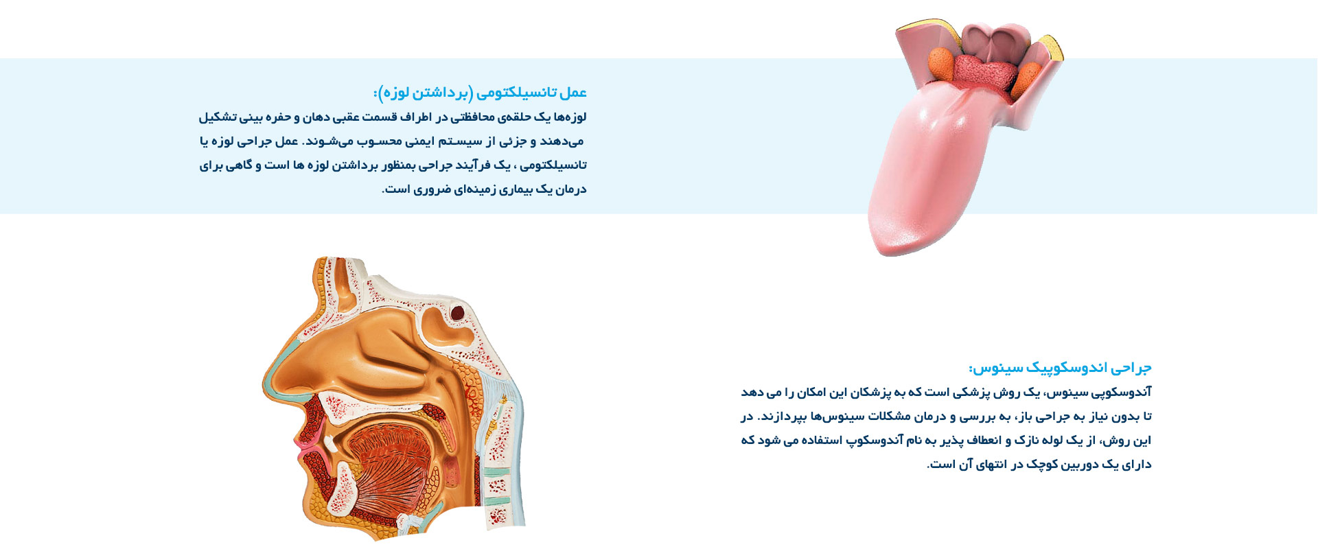 کلینیک گوش و حلق و بینی